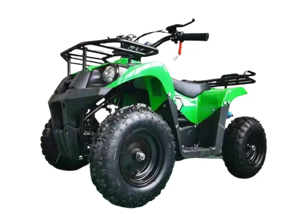 Квадроцикл Motax ATV Basic X16 E-start