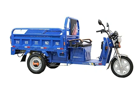 Электротрицикл TaiLG TL1000