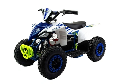 Электроквадроцикл Motoland ATV E010 1000W