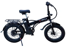 Электровелосипед MOTAX E-NOT Big Boy 48V12Ah, фото №0