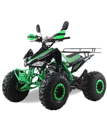 Квадроцикл MOTAX ATV T-Rex Super LUX 125 cc, фото №5