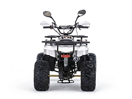 Квадроцикл бензиновый MOTAX ATV GRIZLIK SUPER LUX 125 сс NEW (AB), фото №4