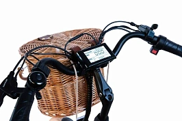 Электровелосипед Elbike Monro Vip, фото №4