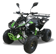 Квадроцикл MOTAX ATV Raptor Super LUX 50 сс