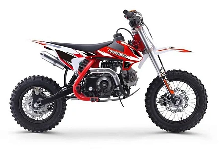 Мотоцикл Питбайк PROGASI Kids Power 110 (10/10) красный