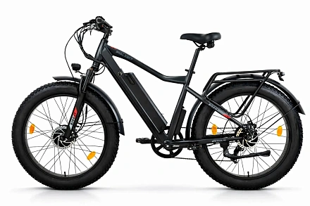Электровелосипед Eltreco BigCat Dual Next