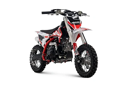 Мотоцикл Питбайк PROGASI Kids Power 110 (10/10) красный