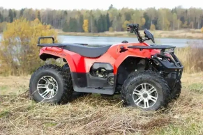 Квадроцикл IRBIS ATV250 LUX