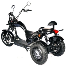 Электроскутер Skyboard CITYCOCO Chopper -5000 Harrow (Elbrus)
