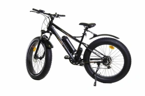 Электровелосипед E-motions Challenger Fat Premium фэтбайк