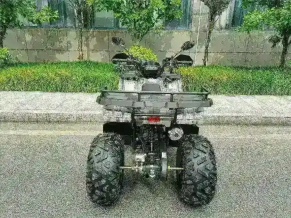Квадроцикл MOTAX Grizlik T 200