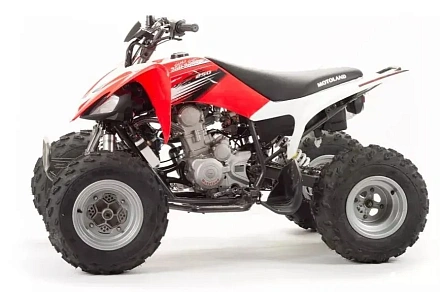 Квадроцикл Motoland 125S
