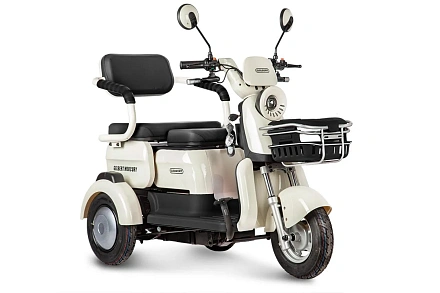 Электротрицикл Gelbert Mercury 48V/60V 650Вт
