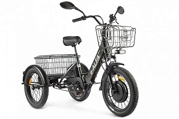 Электротрицикл Green City e-ALFA Trike, фото №2