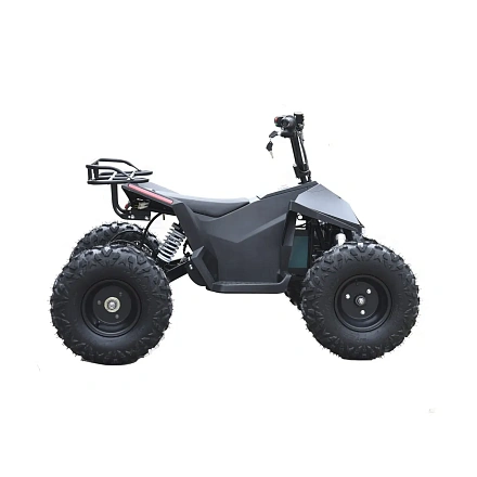 Электроквадроцикл Skyboard CyberTruck Karelia 1800W