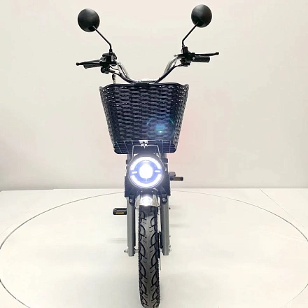 Электровелосипед Green Camel Транк Монстр (R16FAT 800W 48V15Ah) гидравлика