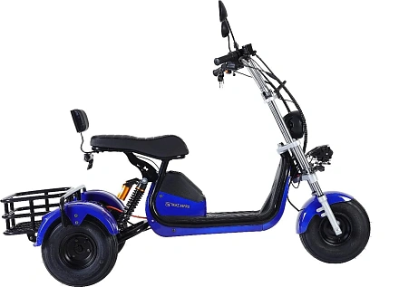 Электроскутер GT Citycoco X6 Trike