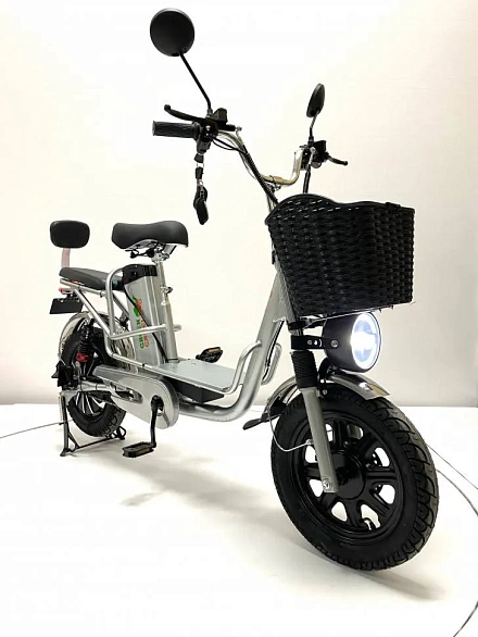 Электровелосипед Green Camel Транк Монстр PRO (R16FAT 500W 48V15Ah) гидравлика