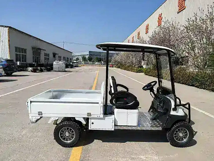 Электромобиль Гольфкар Green Camel Сонора A2C New (2+Cargo 2500W 130/90-10' литые) пониженная