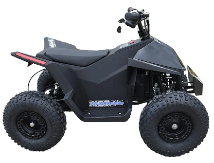 Электроквадроцикл Skyboard CyberTruck Sochi Power 1000W