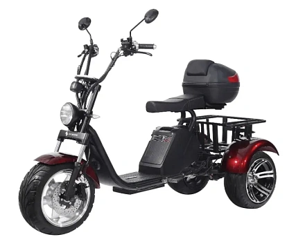 Электроскутер SKYBOARD CITYCOCO TRIKE BR80
