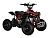 Квадроцикл Motax ATV CAT 50 E-start - превью