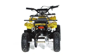 Квадроцикл MOTAX ATV Mini Grizlik X-16 (мех.)