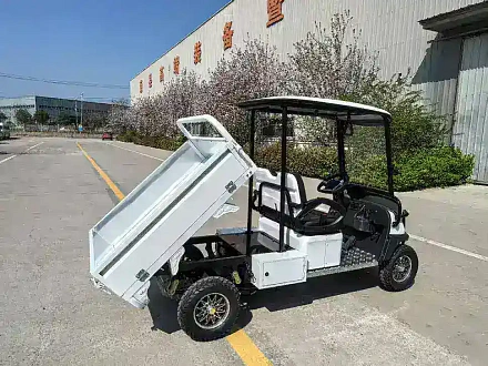 Электромобиль Гольфкар Green Camel Сонора A2C New (2+Cargo 2500W 130/90-10' литые) пониженная