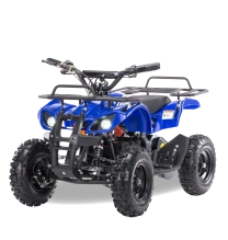 Электроквадроцикл MOTAX Mini Grizlik X-16 1000W New