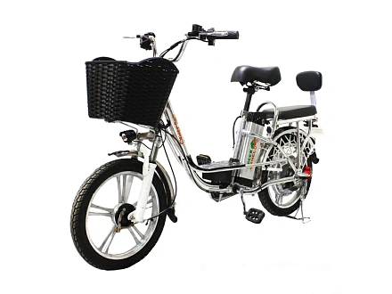 Электровелосипед Green Camel Транк-18 V2 (R18 250W)