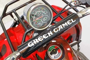 Электроквадроцикл Green Camel Гоби K31 (36V 800W R6 Цепь) ножной тормоз