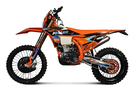 Мотоцикл Питбайк PROGASI Endurance 450