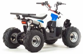 Квадроцикл Motoland 110 EAGLE (2020 г.)