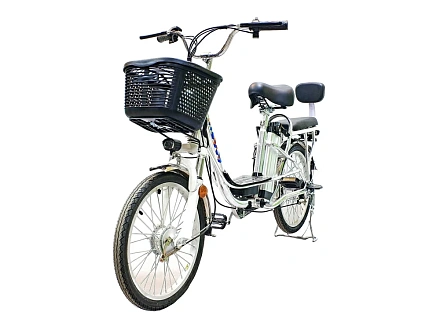 Электровелосипед Green Camel Транк-20 V2 (R20 250W) Алюм, редукторный