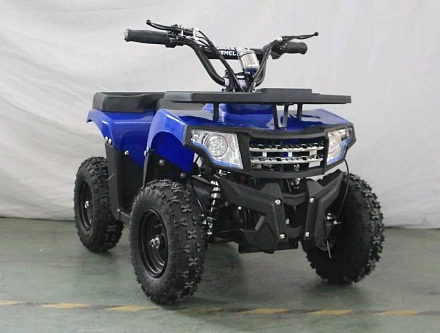 Электроквадроцикл Green Camel Гоби K24 (36V 800W R6 Цепь)