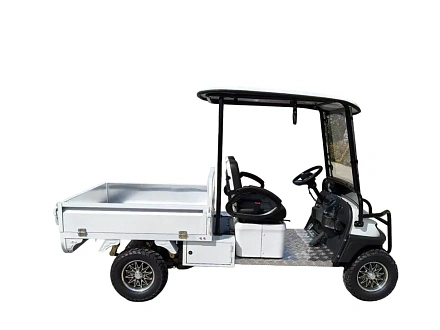 Электромобиль Гольфкар Green Camel Сонора A2C New (2+Cargo 2500W 130/90-10' литые) пониженная