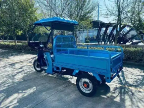 Электротрицикл грузовой Green Camel Тендер 2 B1500 (60V 1000W) крыша, понижающая