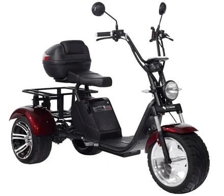 Электроскутер SKYBOARD CITYCOCO TRIKE BR80