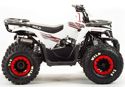 Квадроцикл Motoland 125 WILD A