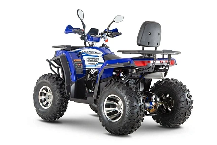 Квадроцикл WELS THUNDER Trail 200 Pro