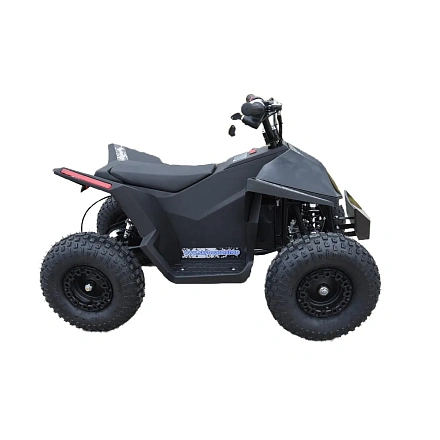 Электроквадроцикл Skyboard CyberTruck Sochi Power 1000W