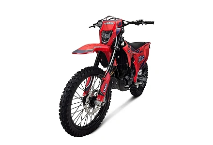 Мотоцикл TMBK Magnetic 300 PR