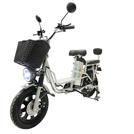Электровелосипед Green Camel Транк Монстр (R16FAT 800W 48V15Ah) гидравлика