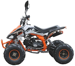 Квадроцикл MOTAX ATV T-Rex-LUX 125, фото №3