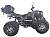 Электроквадроцикл MOTAX ATV GRIZLIK E3000 4WD - превью