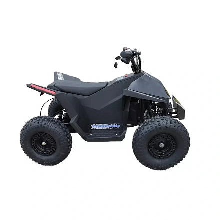Электроквадроцикл Skyboard CyberTruck Sochi Kids 800W