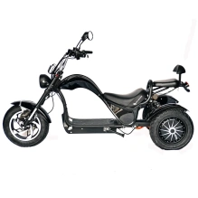 Электроскутер Skyboard CITYCOCO Chopper -5000 Harrow (Elbrus)