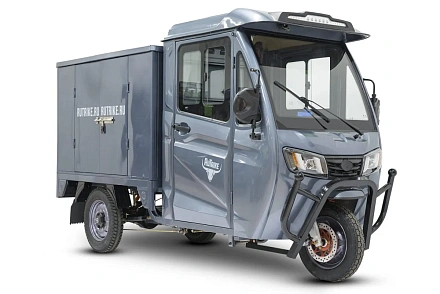 Грузовой электротрицикл Rutrike КАРГО Кабина  Дуал NEXT 60 V 2000 W