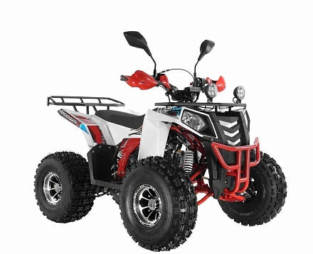 Квадроцикл Wels Thunder EVO X