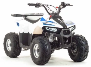 Квадроцикл Motoland 110 EAGLE (2020 г.)